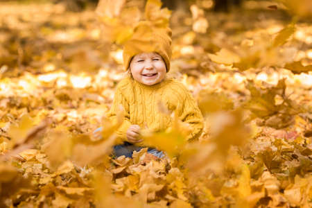 Happy child having fun outdoor in autumn park. Kid sitting on leaves against yellow blurred backgroundの写真素材