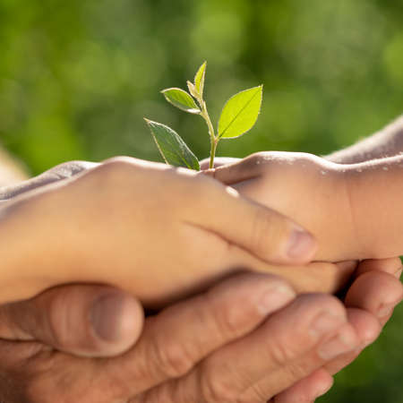 Child holding young green plant in hands. Earth day spring holiday concept.の写真素材