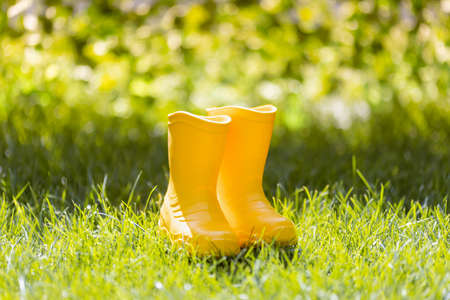 Yellow rubber boots against autumn blurred leaves backgroundの写真素材