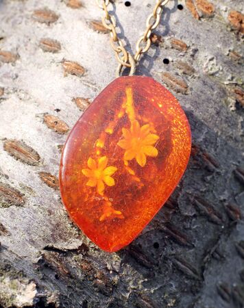 a nice old pendant with flower in amberの写真素材
