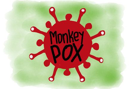 the Monkeypox Virus Illustration Painting Concept on white backgroundの写真素材