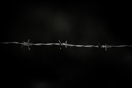 Barbed wire close up on a black backgroundの写真素材