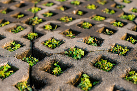 Tile paving with holes for lawn, eco pavementの写真素材
