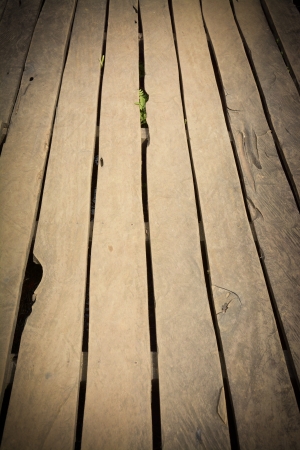 Wood texture background の写真素材