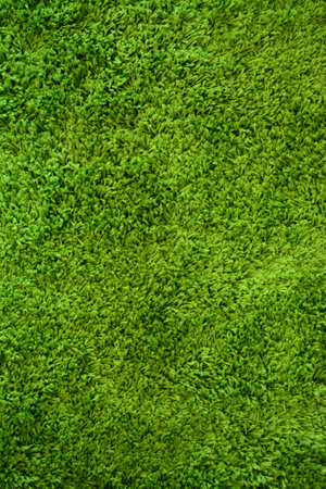 green carpe  textureの写真素材