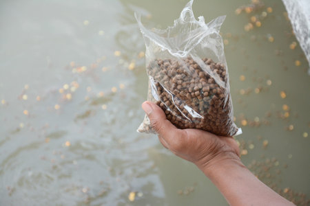 feeding fish at lake , Thailand