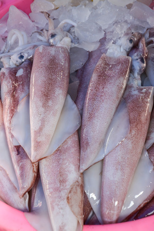 Closeup fresh squid on the market for saleの写真素材