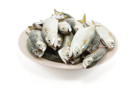 Fresh mackerel on dish fishes isolated on whiteの写真素材