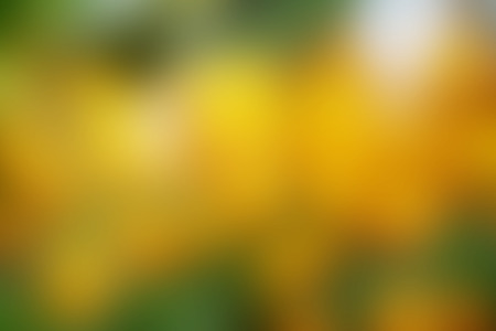 Abstract background colourfulの写真素材