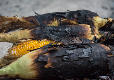 Grill corn by place on a rack and grill on charcoal grills の写真素材
