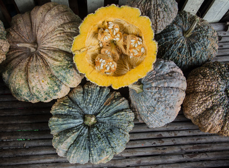 Autumn pumpkins with leaves on woodの写真素材