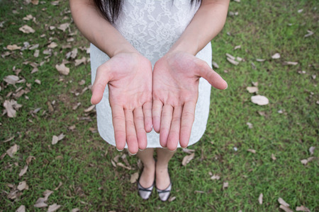 Two open hands of woman stand over a green grass backgroundの写真素材