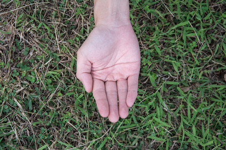 open hand of  woman  over a green grass background, top viewの写真素材