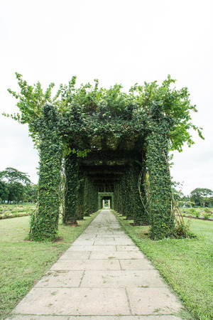 Green archway in a garden. Htauk Kyant War Memorial Cemetery in Yangon, Myanmar.の写真素材