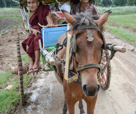 INWA,MYANMAR-JULY 31,2015 : Unidentified carriage of passengers and carrying supplies the local road runs along to a village on July 31,2015 in Inwa ancient city,Mandalay State in Middle of Myanmar.のeditorial素材
