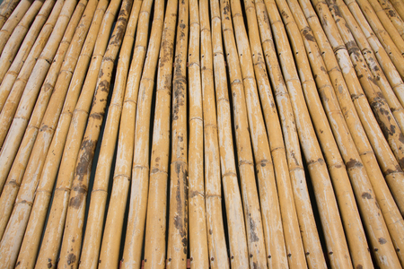 bamboo wall texture backgroundの写真素材