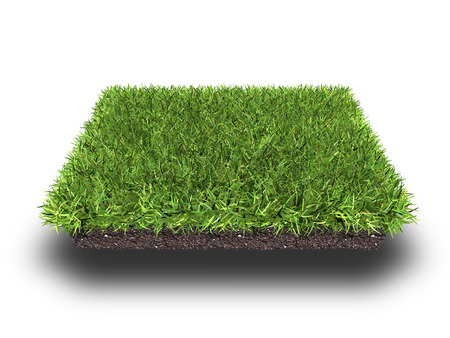 cross section of ground with grass isolated on white, 3d renderingの写真素材