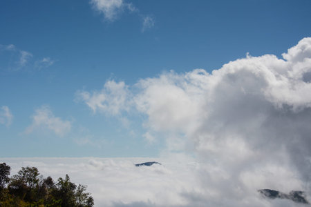 fog and cloud  on mountain at Kew Mae Pan ,Doi Inthanon National Park, Thailand.