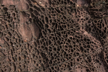 Pink stone texture backgroundの写真素材