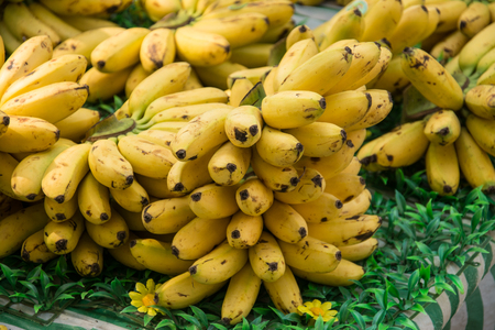 yellow bananas backgroundの写真素材
