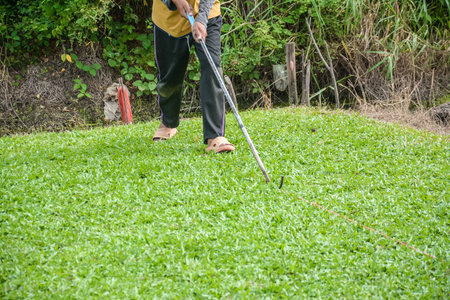 Harvesting sod or turf to be sold commercially