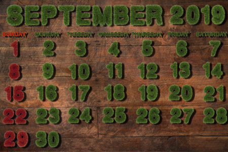 Calendar for September 2019 on white background,3d rendering green grassの写真素材