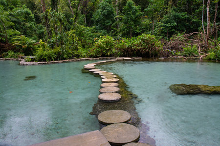 Ban Nam Rad Forested watersheds in Surat Thani, Thailand.の写真素材