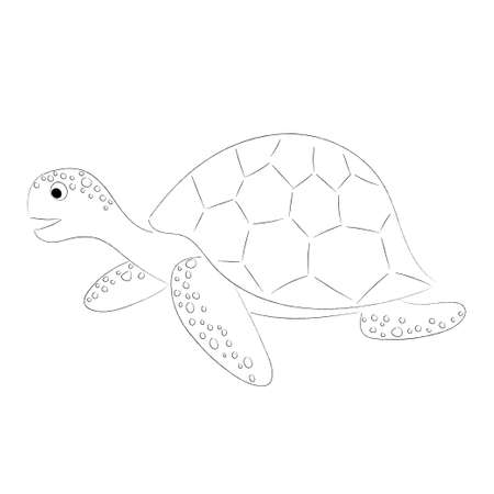 Cute sea turtle on white background. Line drawing illustrationのイラスト素材