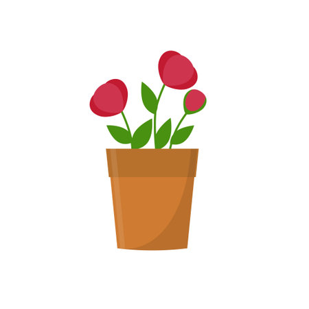 Colorful fowers in the pot isolated on white backgroundのイラスト素材