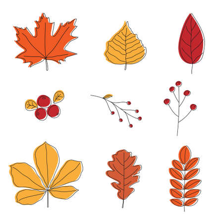 Set of colorful autumn leaves. Line art design. Doodle style.のイラスト素材