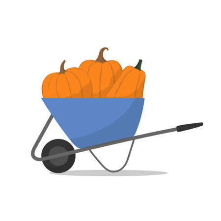 Blue wheelbarrow with pumpkins. Flat design. Garden cart with a harvest of ripe vegetables.のイラスト素材