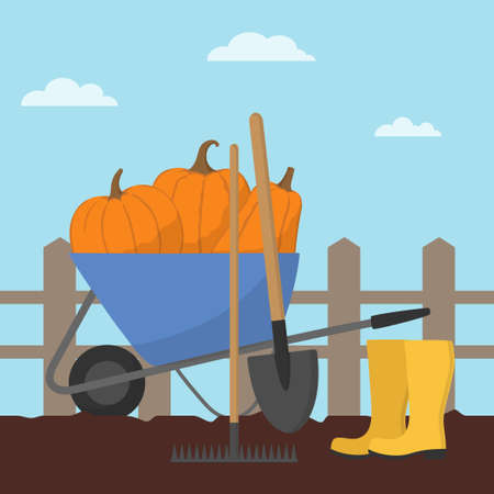 Garden harvest with pumpkins and gardening equipment. Blue wheelbarrow, rubber boots, rake and spade. Flat design.のイラスト素材