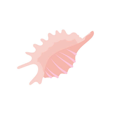 pink cartoon seashell. Flat shellfish for sea design. isolated vector illustrationのイラスト素材