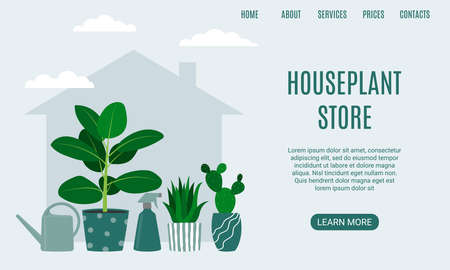 Houseplant store landing page. Cactus, rubber plant, aloe and watering can. Florarium, home garden, greenhouse, gardening, potted plant conceptのイラスト素材
