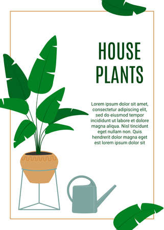 Flyer for houseplants store. Florarium, home garden, greenhouse, gardening, potted plant conceptのイラスト素材