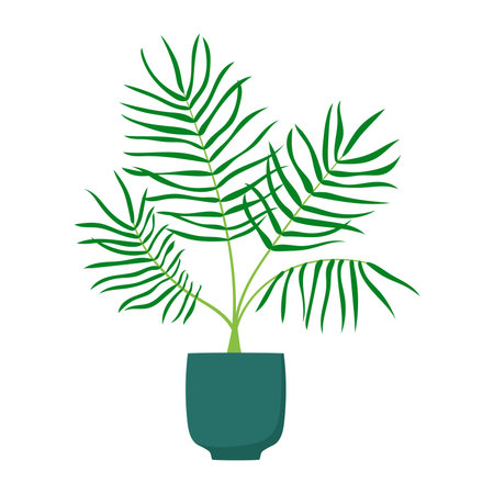 Palm tree in flower pot. hand drawn house plant. Isolated vector illustration.のイラスト素材
