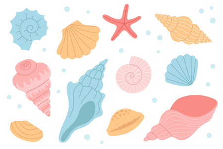 Set of hand drawn seashell, mollusks, starfish. Design elements for print, stickers, greeting card and invitation.のイラスト素材