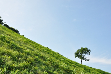 Maple Hillの写真素材