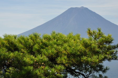 From Qing 8 Mt. Fuji and pine.の写真素材