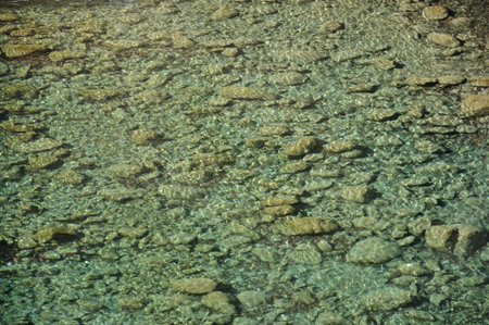 Transparency of the river