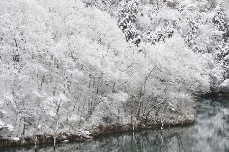 Snow Lakeの写真素材