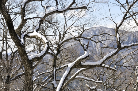 Your true colors mountainsの写真素材