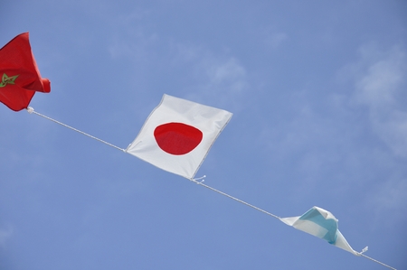 Country flags typeの写真素材