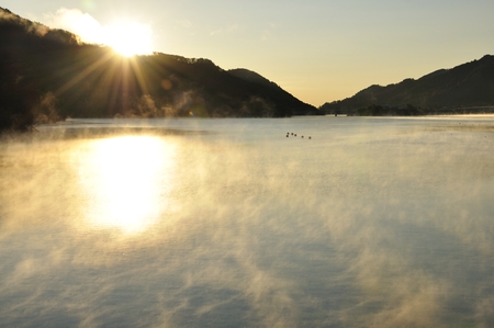 Shining morning fogの写真素材