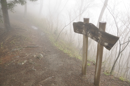 Mist Shrine months segoshiの写真素材