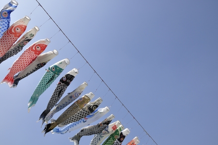 Carp streamerの写真素材