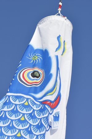 Carp streamerの写真素材