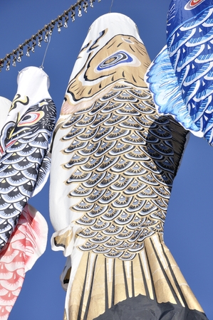 Carp streamerの写真素材