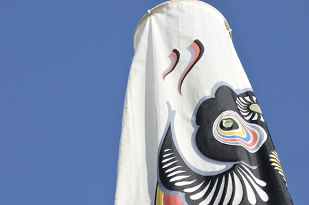 Carp streamerの写真素材