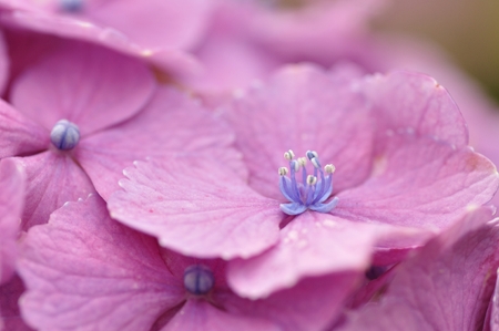 The Christmasの写真素材